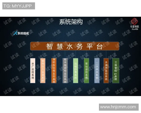 深圳极限运动队节奏表现分析与提升策略探讨