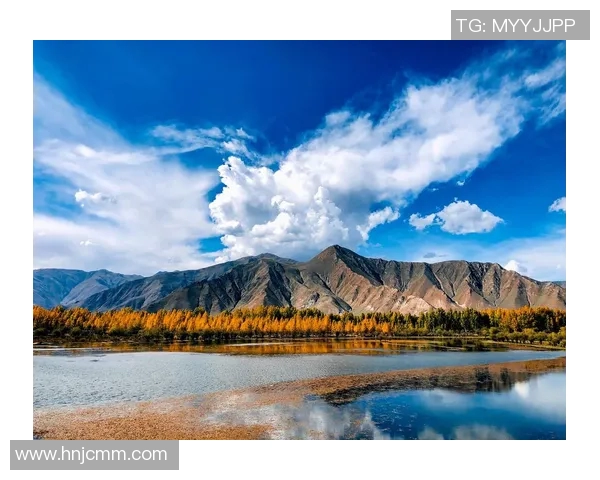 探索阿拉巴的魅力与文化底蕴，揭开这片土地的历史与未来之旅